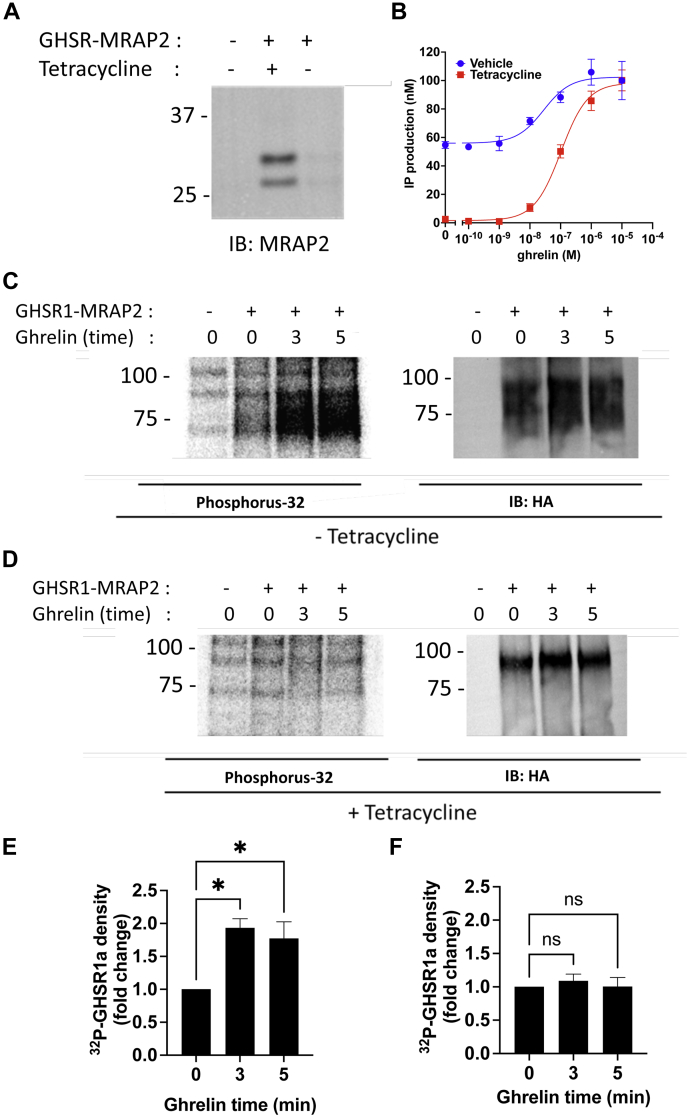 Figure 3