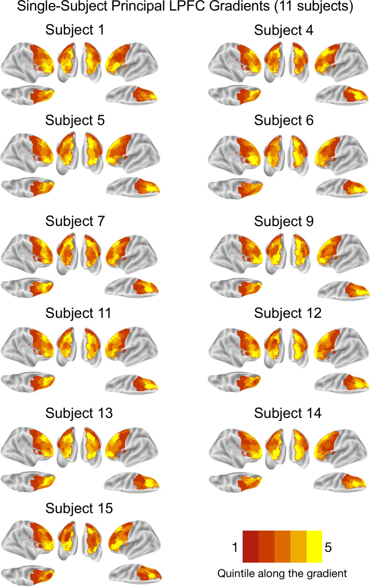 Figure 1—figure supplement 4.