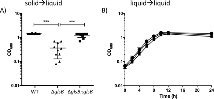 FIG 5