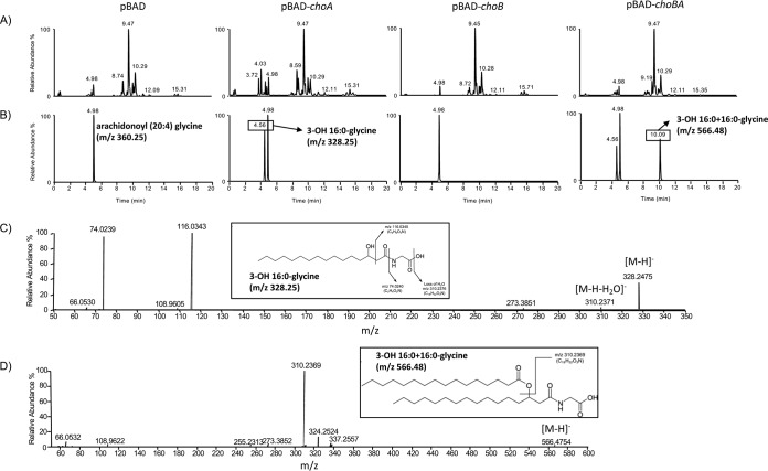 FIG 2