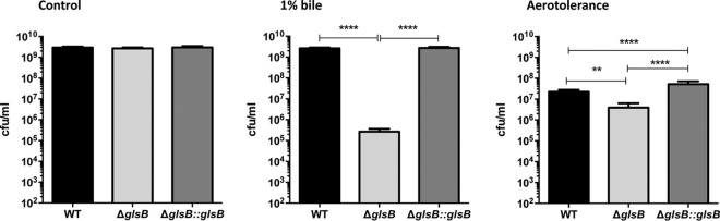 FIG 6