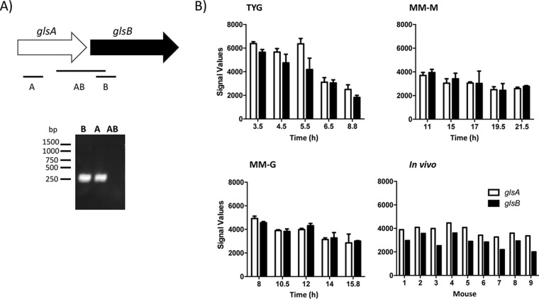 FIG 4