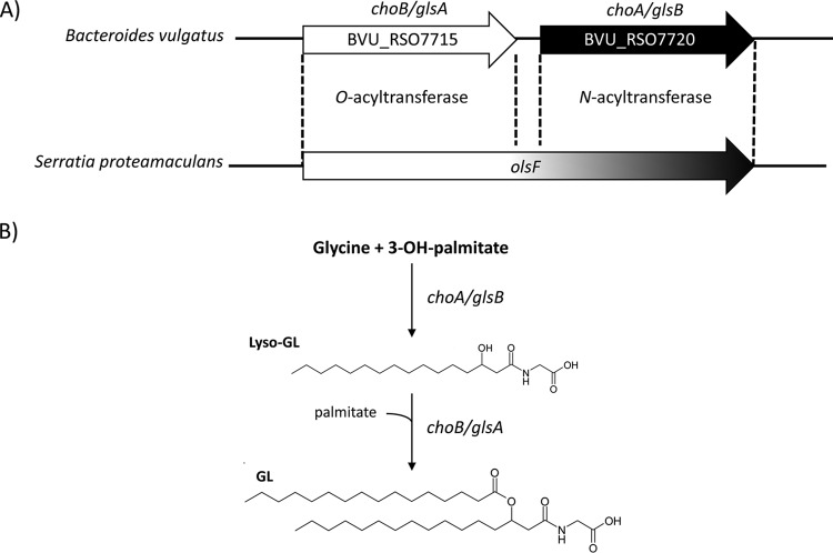 FIG 1