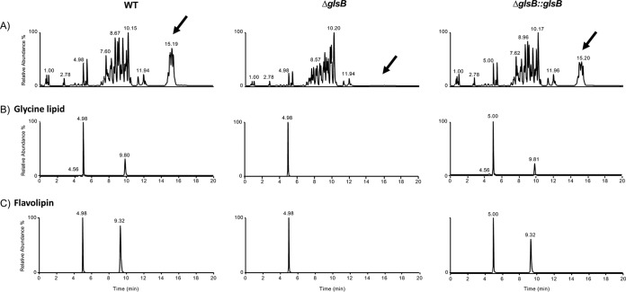 FIG 3