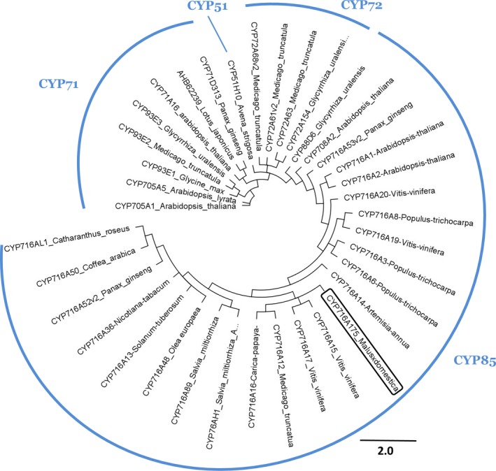 Figure 5