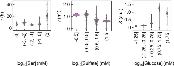 Figure 4—figure supplement 1.