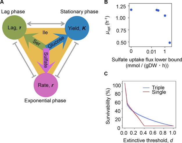 Figure 6.