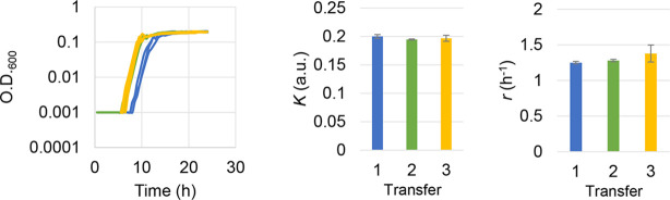 Figure 2—figure supplement 3.