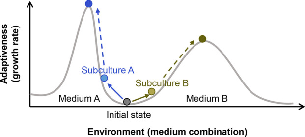 Figure 2—figure supplement 2.