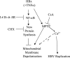 FIG. 9.
