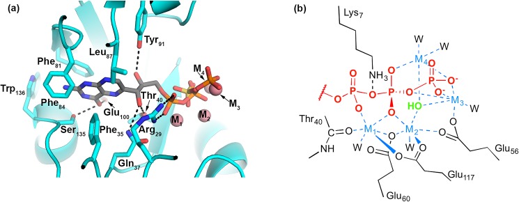 Fig 4