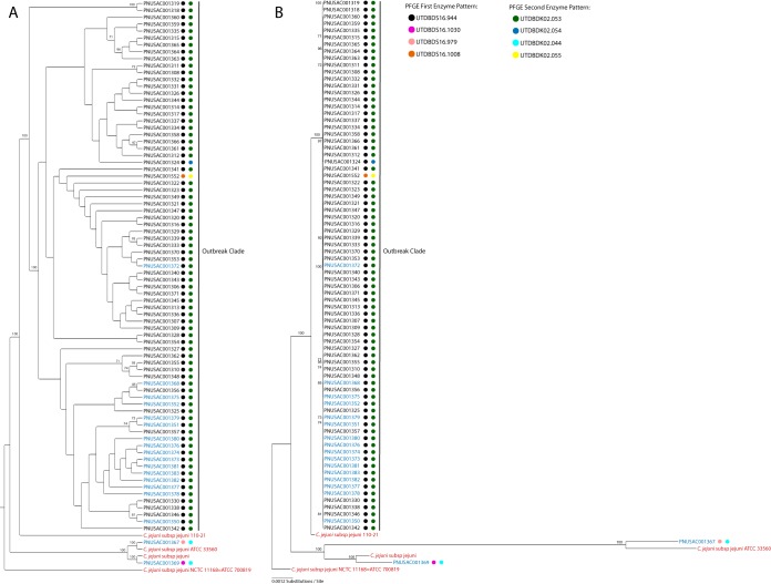 FIG 2