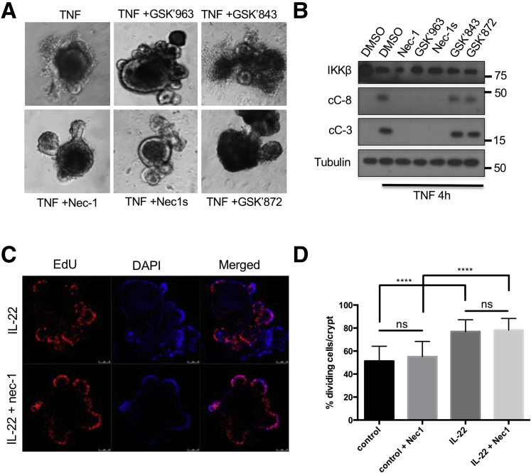 Figure 6