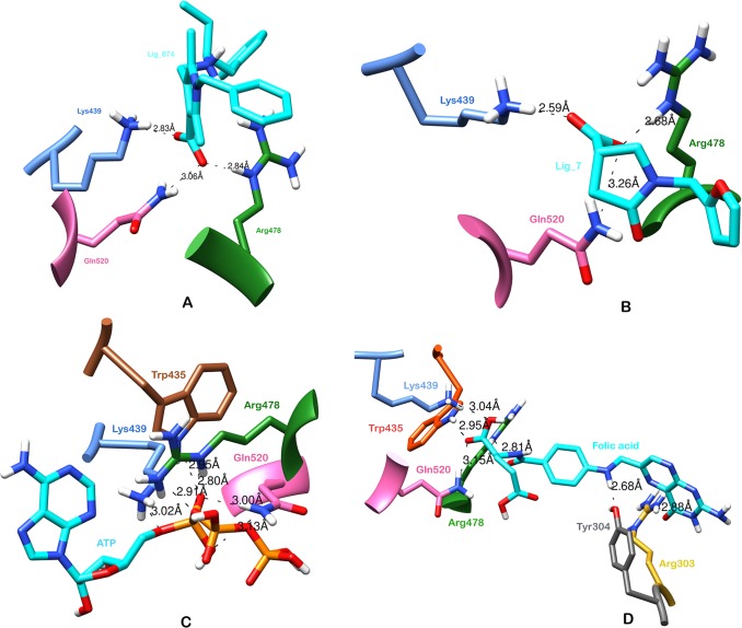 Fig 3