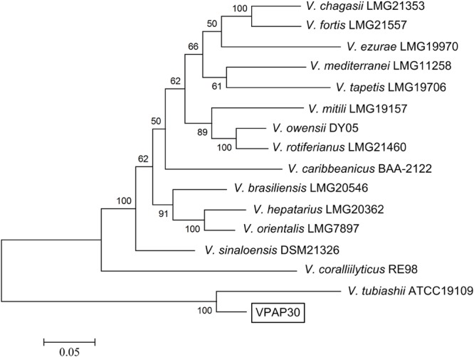 FIGURE 2