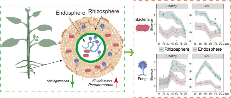 GRAPHICAL ABSTRACT