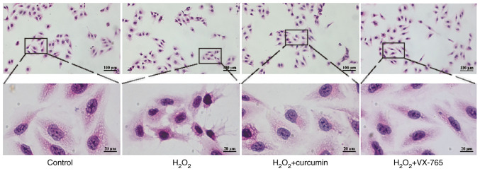 Figure 2.