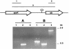 FIG. 7.