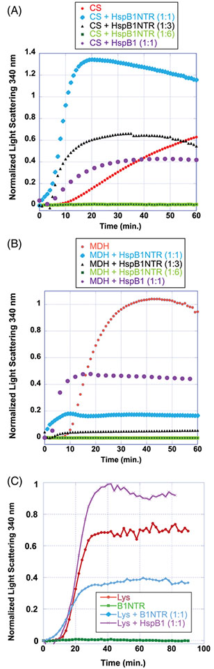 FIGURE 3