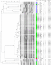 Fig. 3.