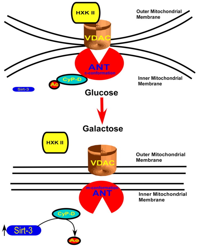 Fig. 9.