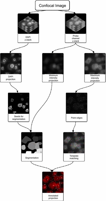 Fig. 4