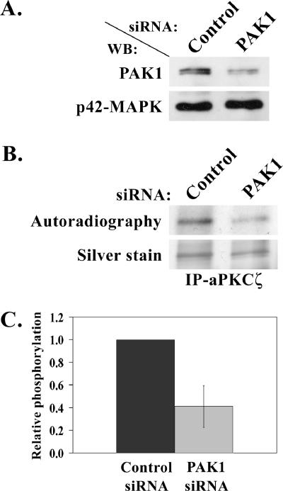 Figure 9.