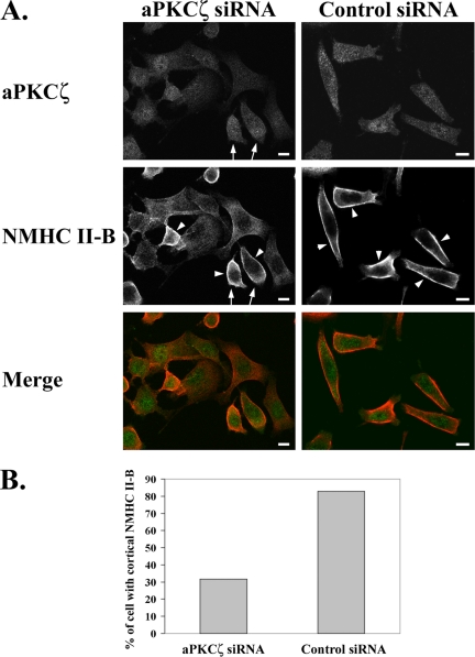 Figure 10.