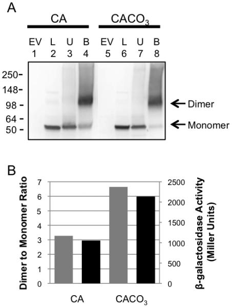 Fig. 8