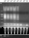 Fig. 3