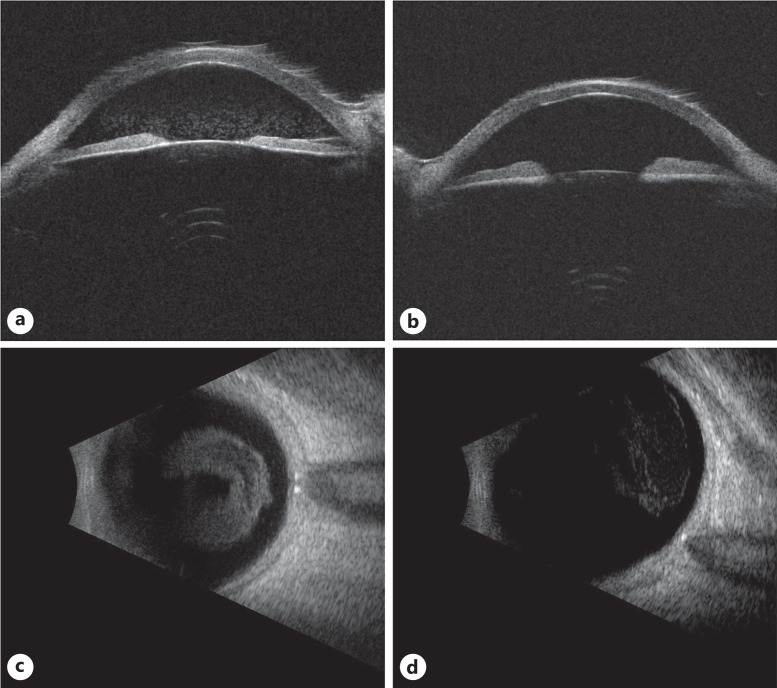 Fig. 8.