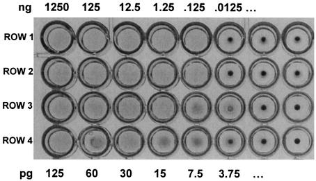 FIG. 5.