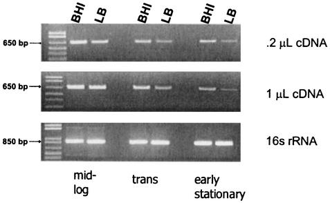 FIG. 7.