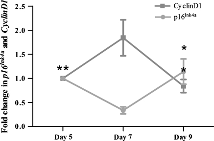 Fig. 6