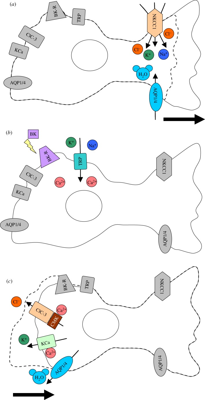 Figure 2.