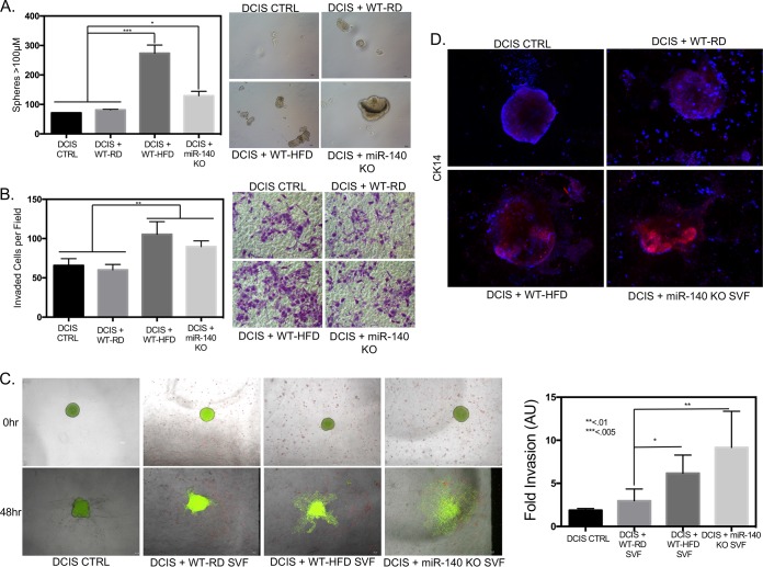 FIG 6