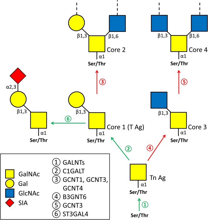 Fig. 4