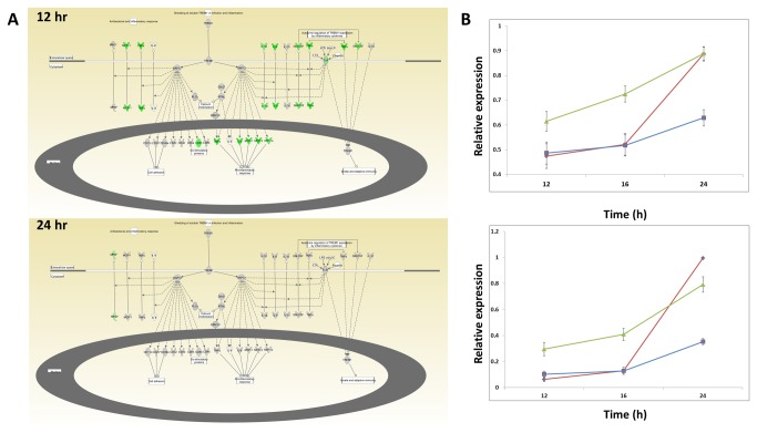 Figure 7