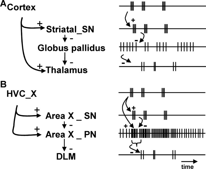 Figure 10.