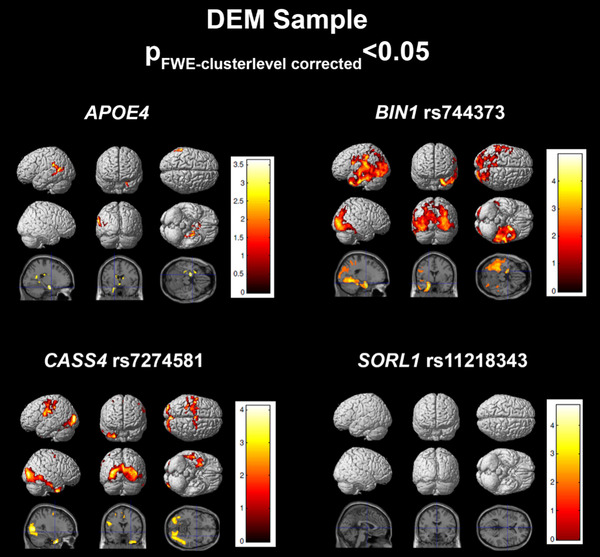 FIGURE 4