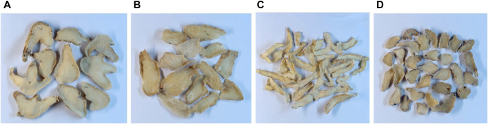 FIGURE 1