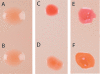 FIG. 1.