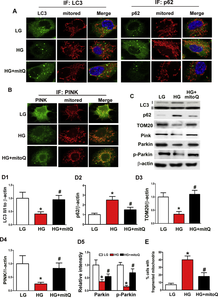 Fig. 6.