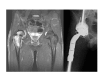 Fig. (12)