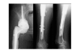 Fig. (13)