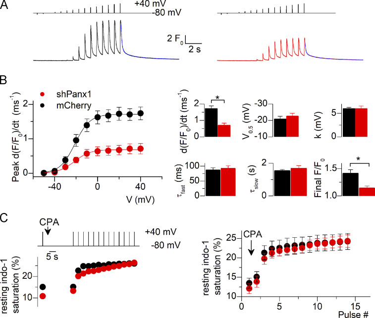 Figure 5.