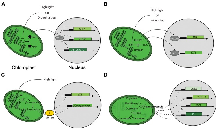 FIGURE 2