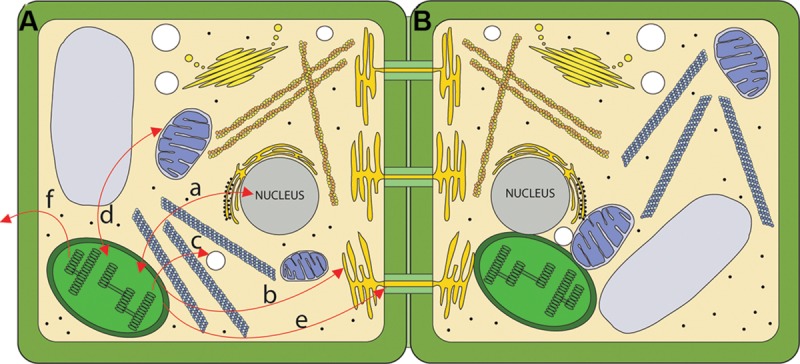 FIGURE 1