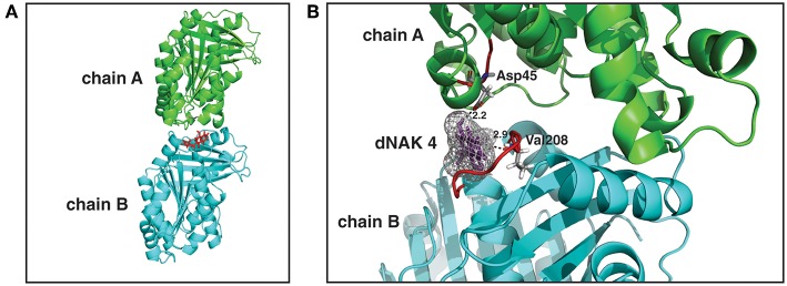 Figure 4