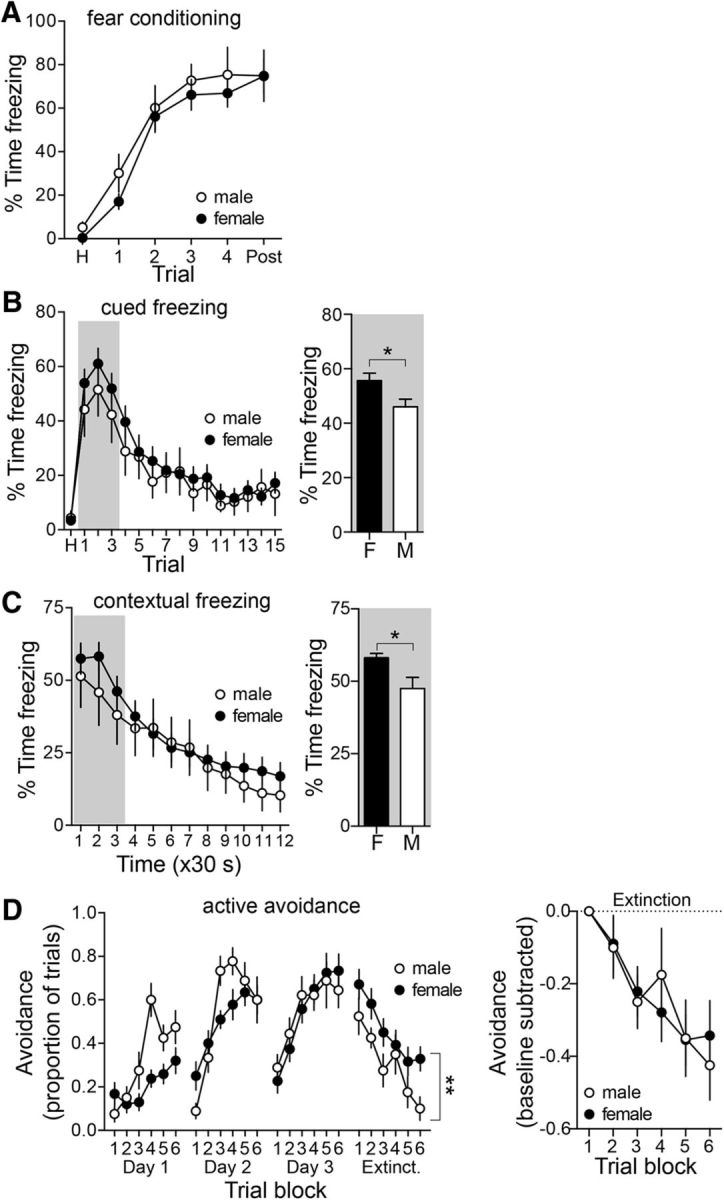 Figure 11.